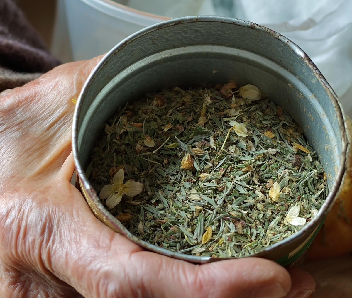 Beschreibung des Bildes