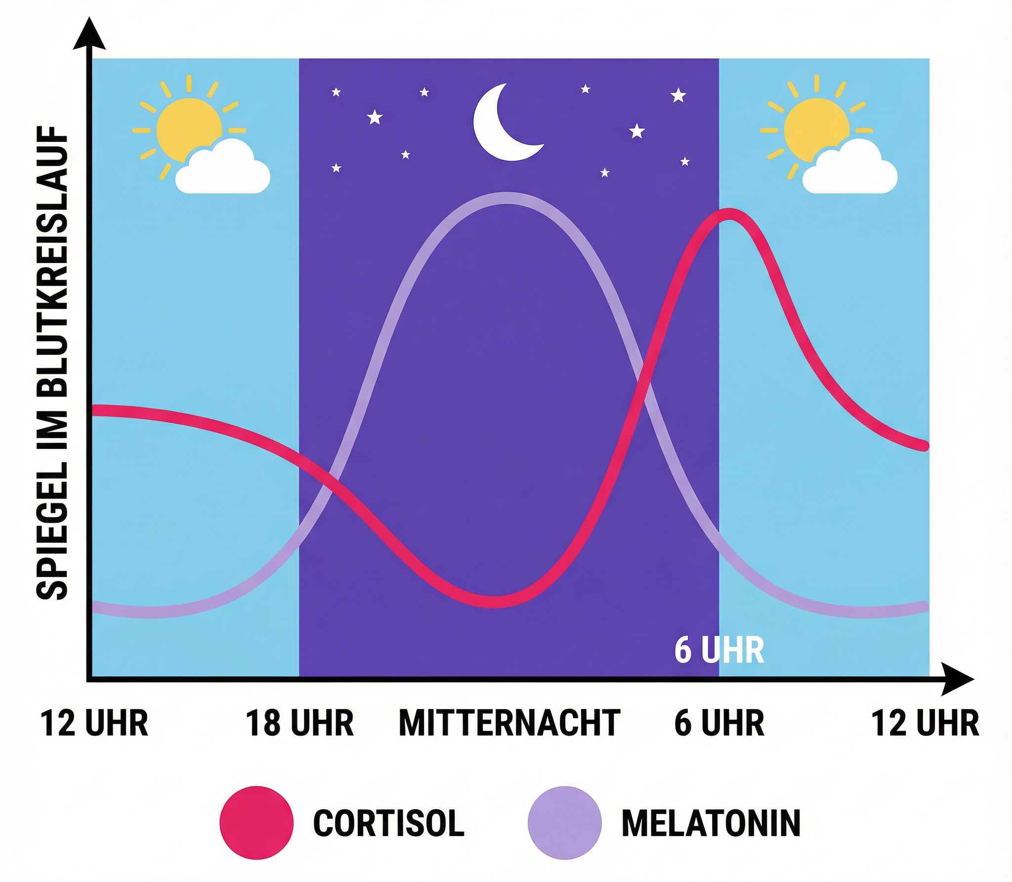Bild Beschreibung
